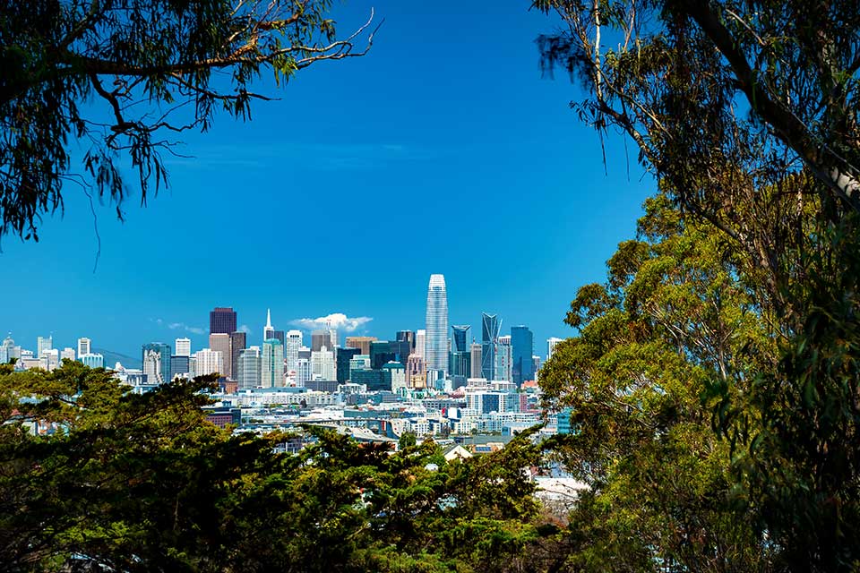 greenery framing a distant cityscape on a blue sky